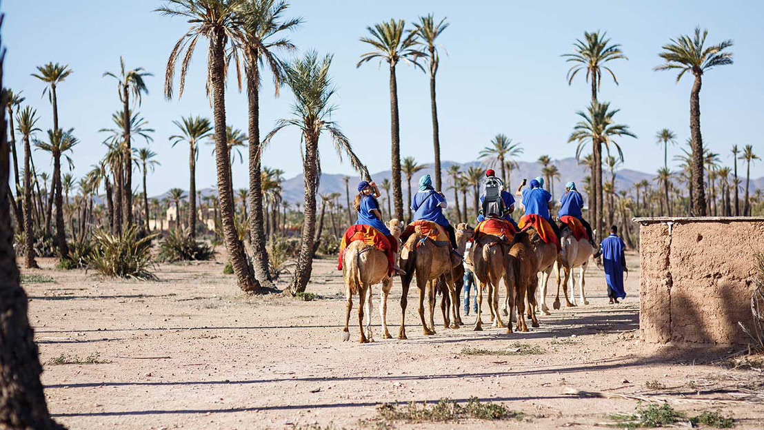 Cavalcare un cammello a Marrakech - Main image