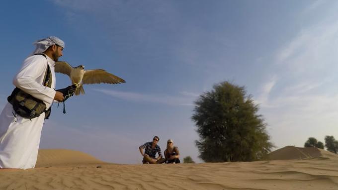 Dubai Falconry Safari - Main image